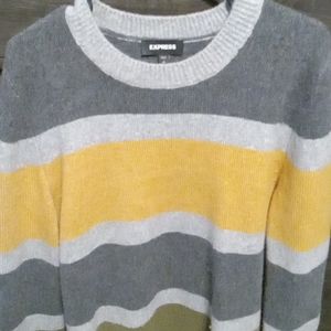Express casual sweater